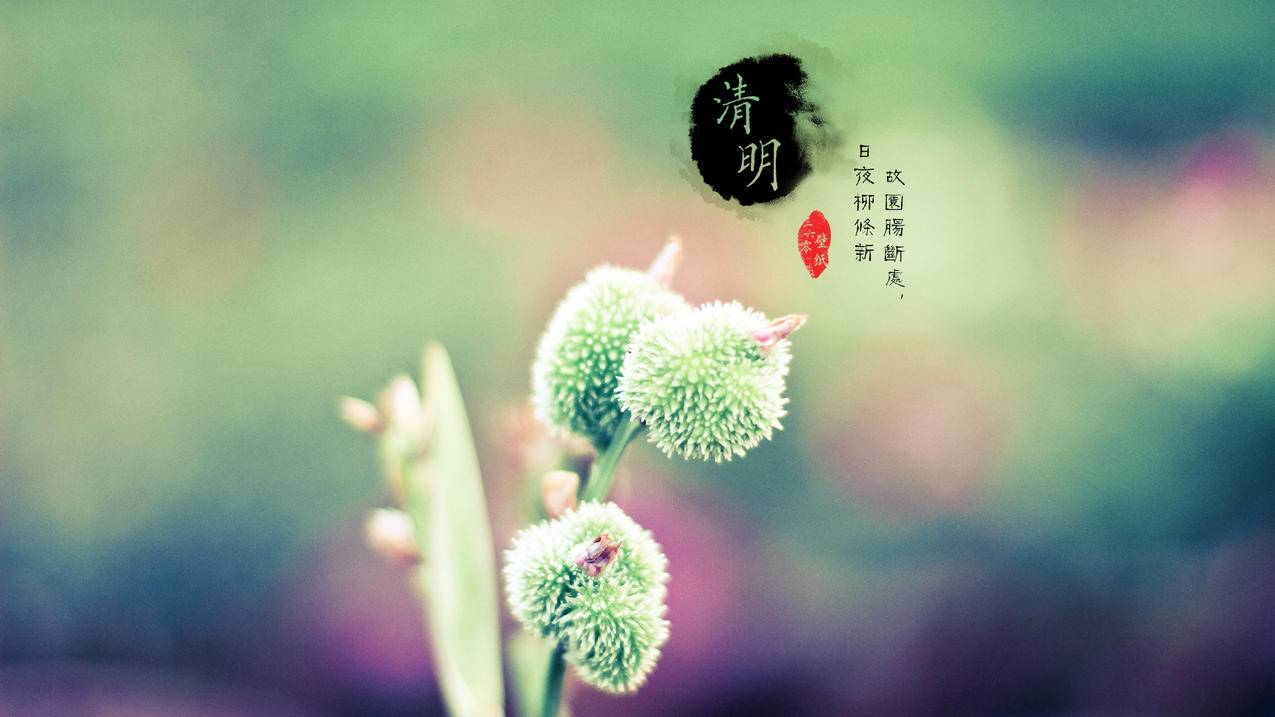 抖音自助业务全网最低,抖音自助平台超低价,一元100个赞